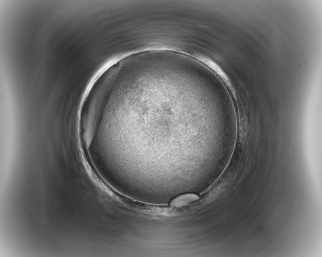 X0000085741096200703161022