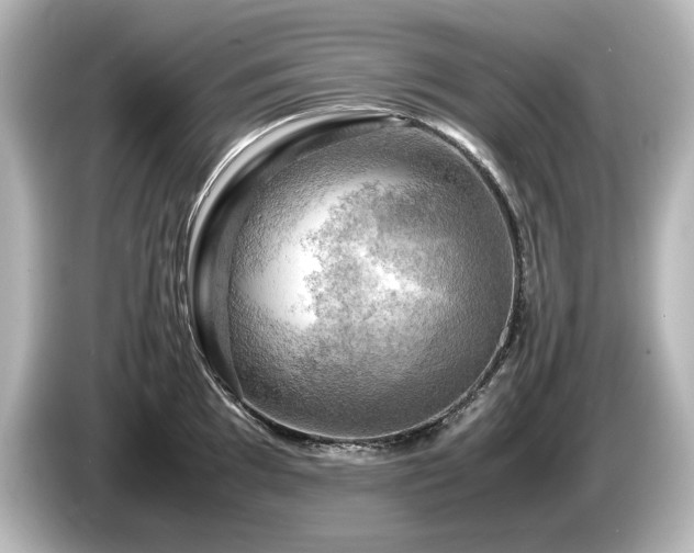 X0000085741097200703161022