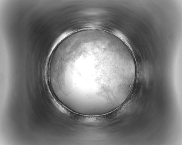 X0000085741098200703161022