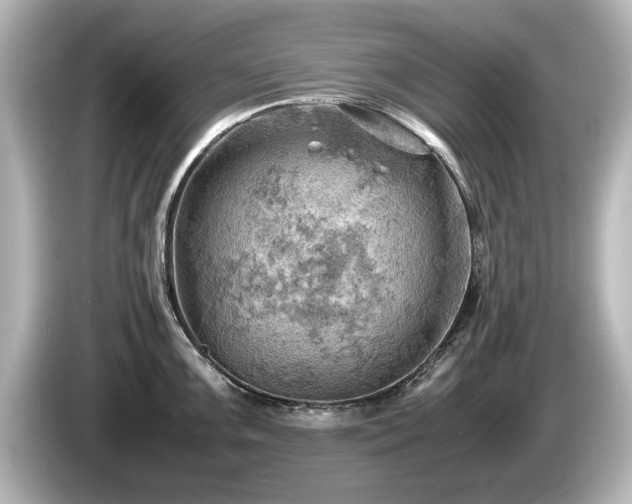 X0000085741099200703161022
