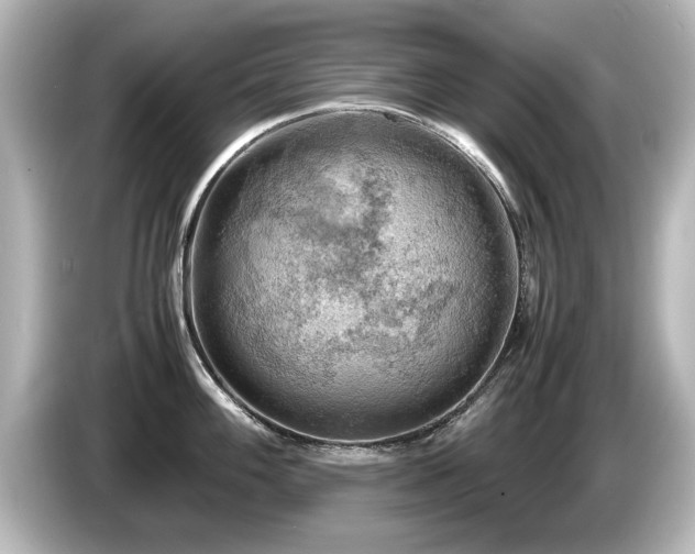 X0000085741100200703161022