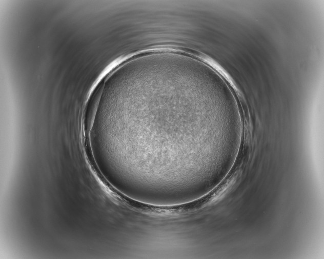 X0000085741101200703161022