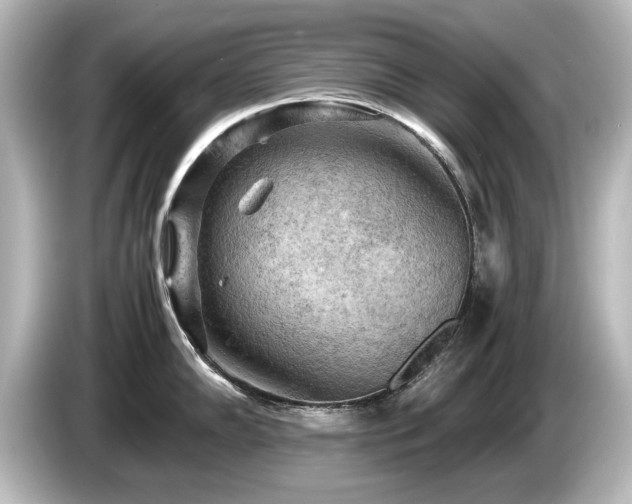 X0000085741102200703161022