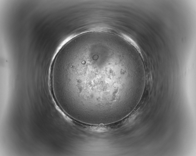 X0000085741103200703161022