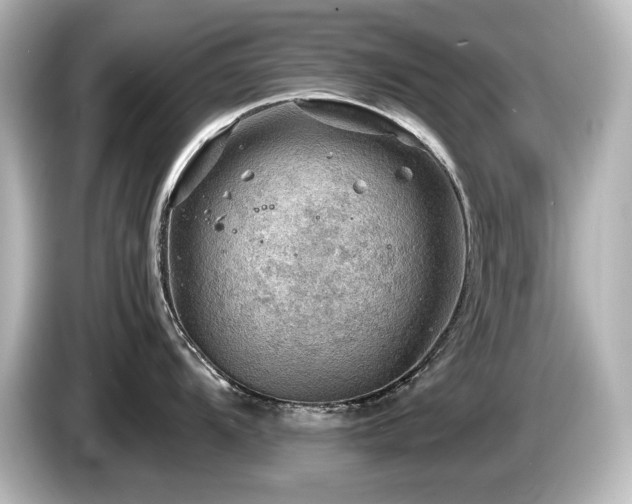 X0000085741104200703161022