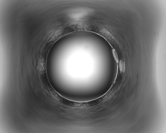 X0000085741107200703161022