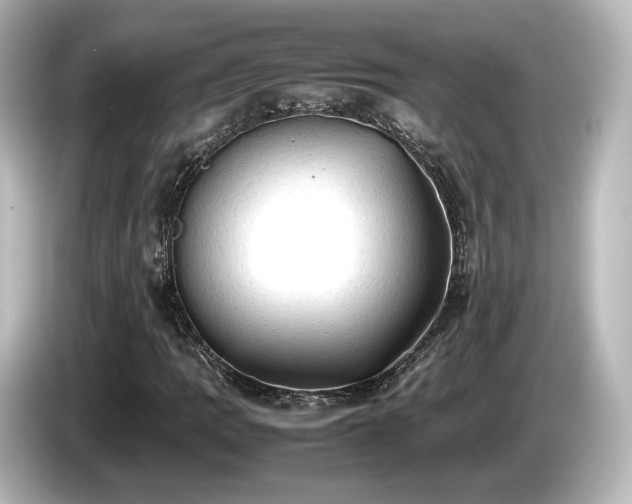 X0000085741109200703161022