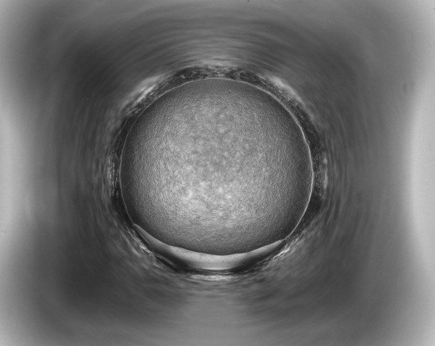 X0000085741110200703161022