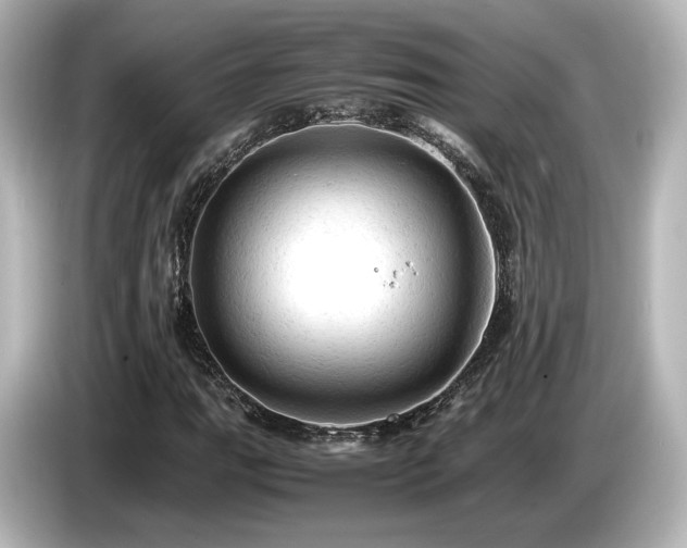 X0000085741111200703161022