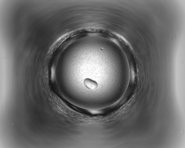 X0000085741112200703161022