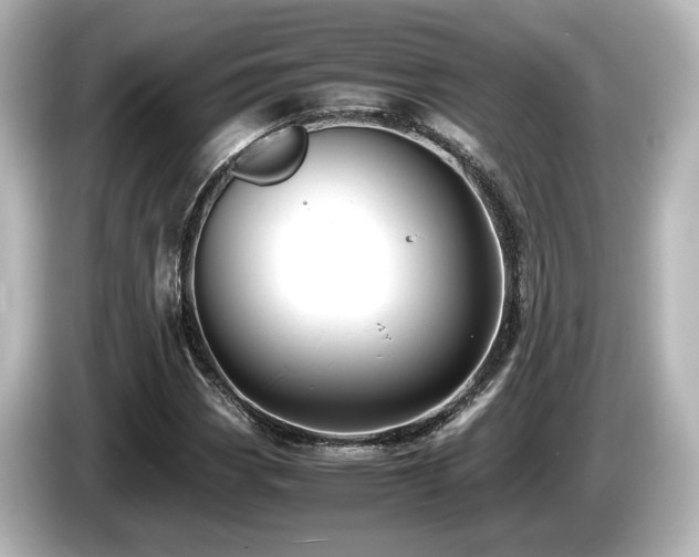 X0000085741113200703161022