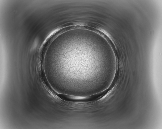 X0000085741115200703161022