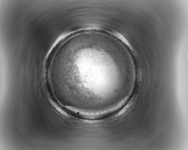 X0000085741116200703161022