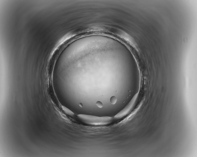 X0000085741117200703161022