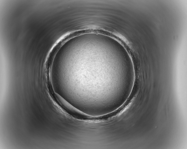 X0000085741118200703161022