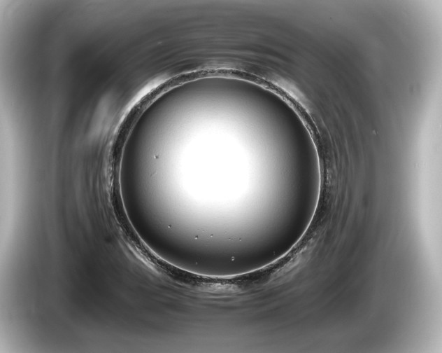 X0000085741119200703161022