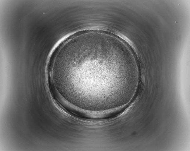 X0000085741120200703161022
