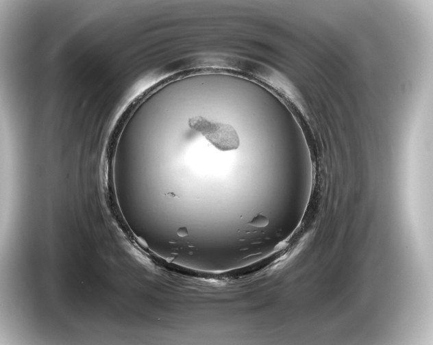 X0000085741125200703161022