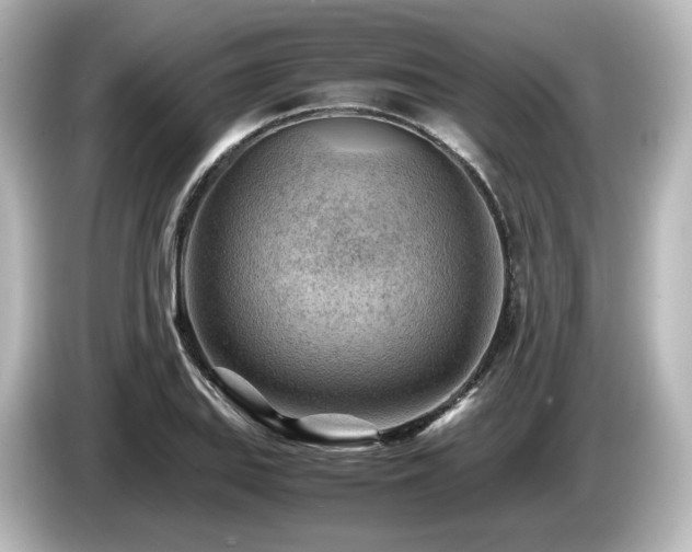 X0000085741127200703161022