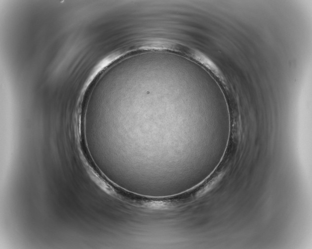 X0000085741130200703161022