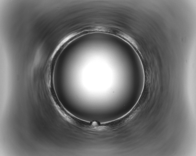 X0000085741131200703161022