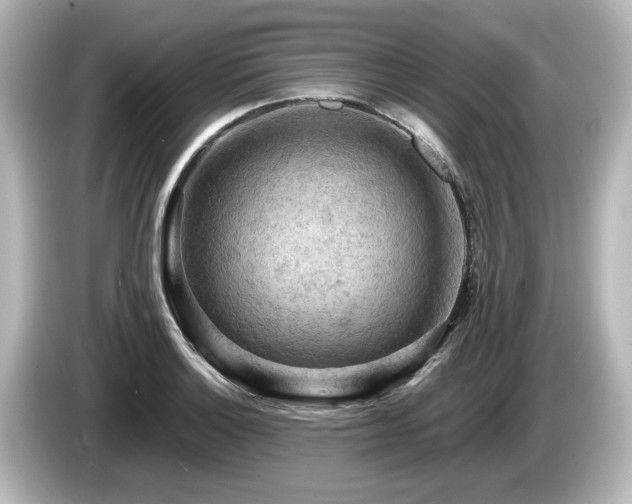 X0000085741132200703161022