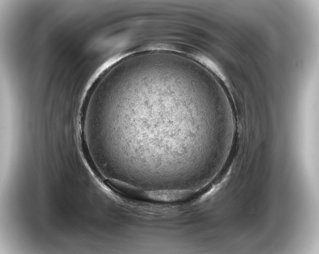 X0000085741133200703161022
