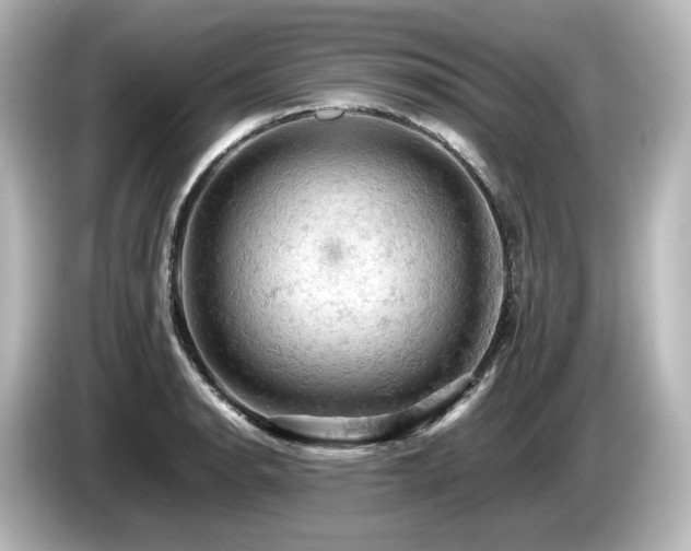 X0000085741134200703161022