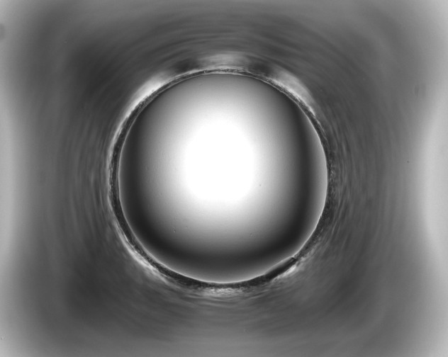 X0000085741135200703161022