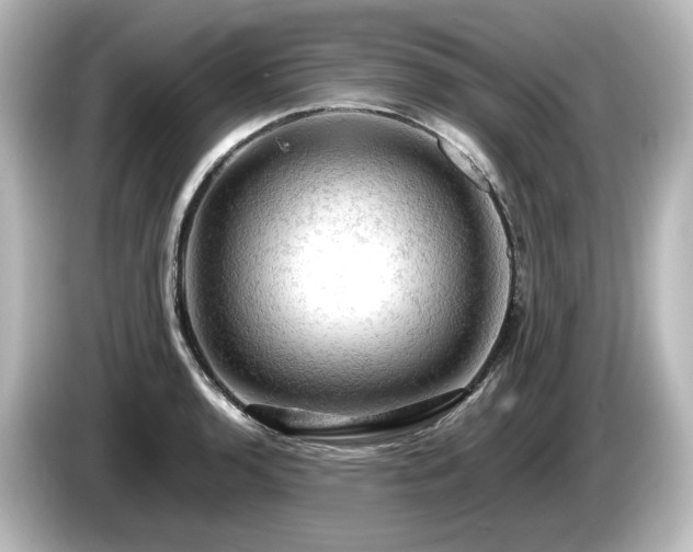 X0000085741136200703161022