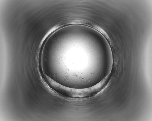 X0000085741138200703161022