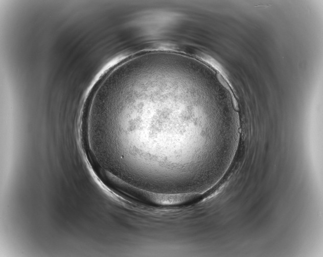 X0000085741139200703161022