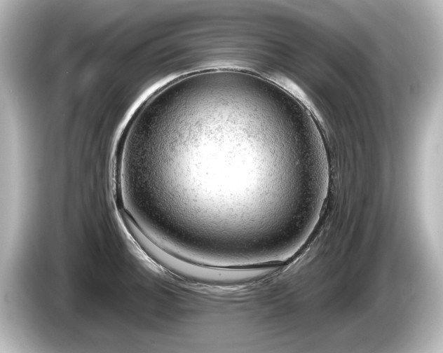 X0000085741140200703161022