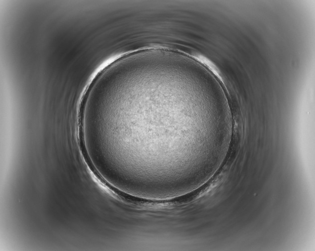 X0000085741143200703161022