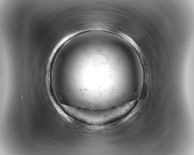 X0000085741144200703161022
