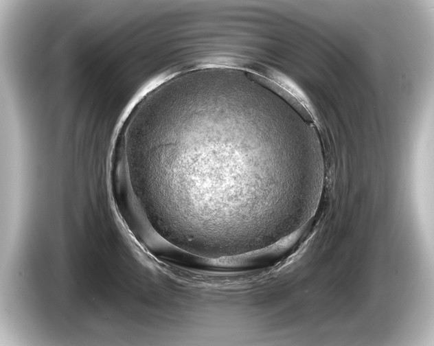 X0000085741146200703161022