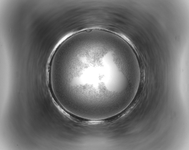 X0000085741151200703161022