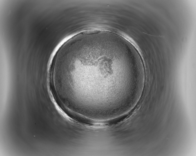 X0000085741152200703161022