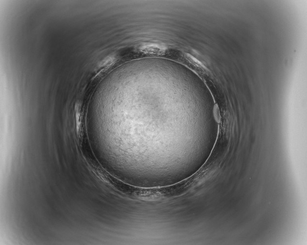 X0000085741154200703161021