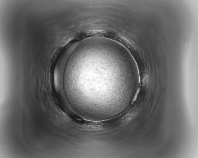 X0000085741156200703161021