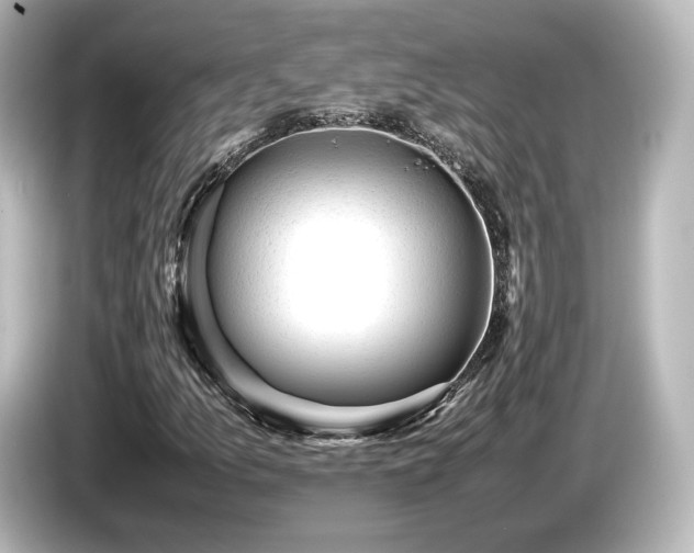 X0000085741157200703161021