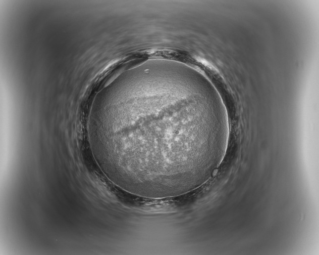 X0000085741159200703161021
