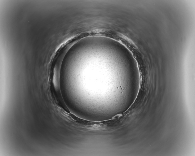 X0000085741160200703161021