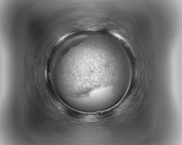 X0000085741161200703161021
