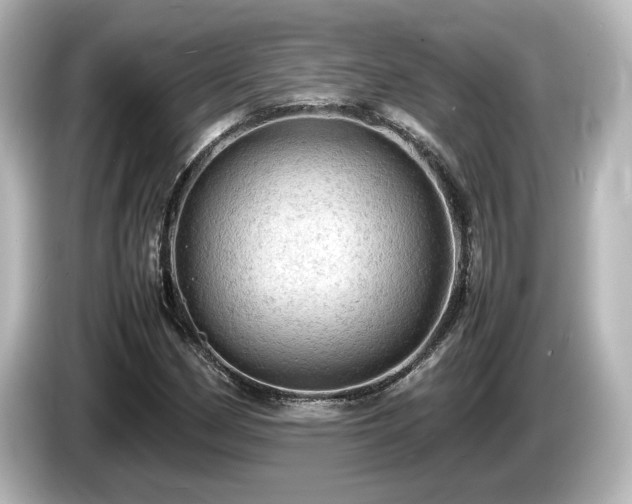 X0000085741162200703161021