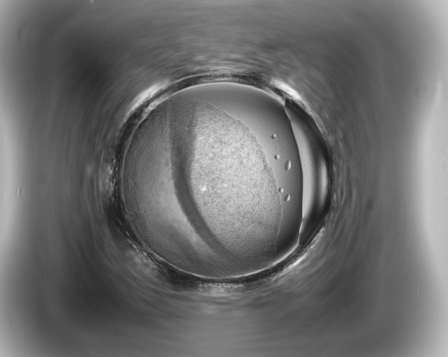 X0000085741163200703161021