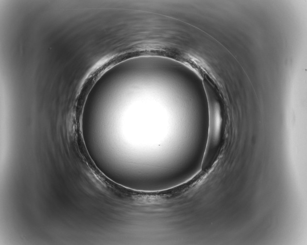 X0000085741164200703161021
