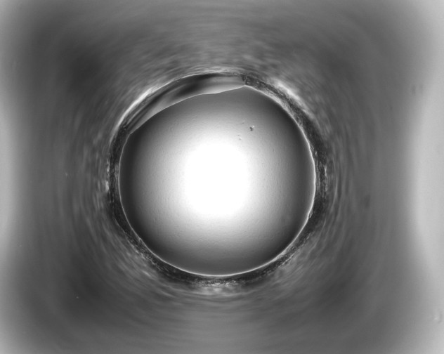 X0000085741165200703161021