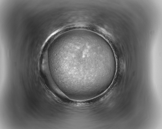 X0000085741166200703161021