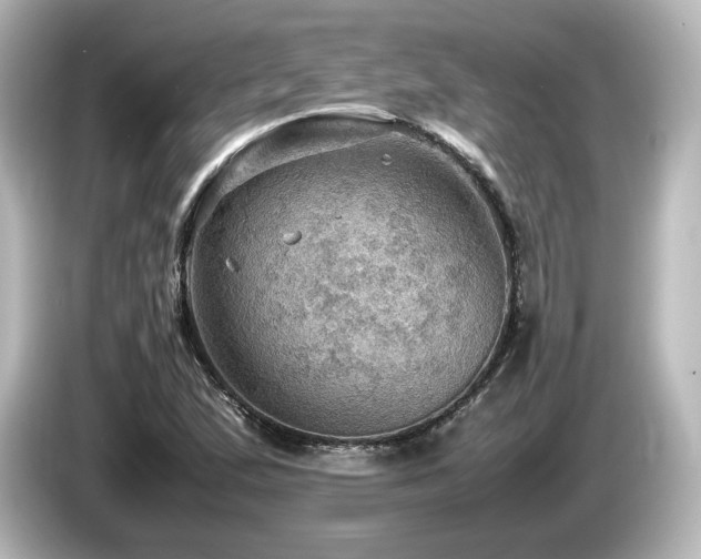 X0000085741167200703161021